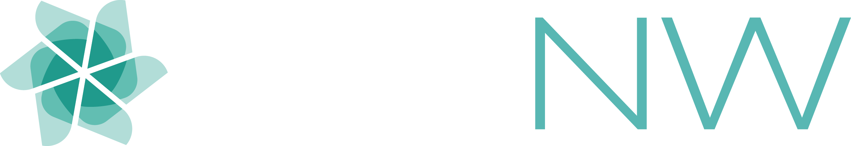 Paynw Payroll Services Hcm Platform Hris Systems Provider